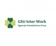 gsuinterwork